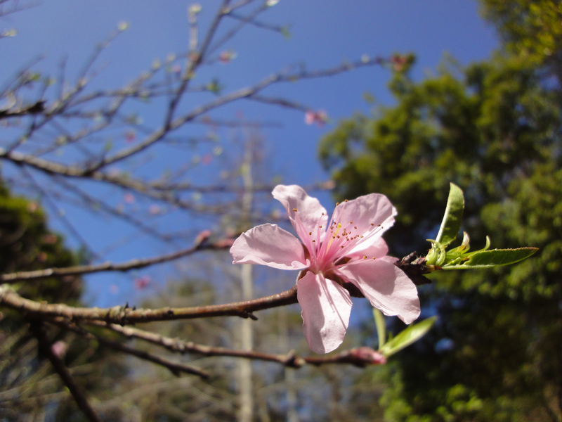 3333DSC01918.PNG