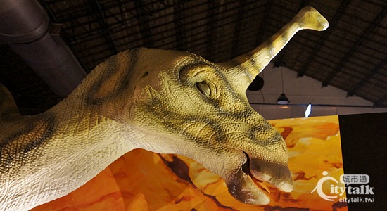 【现场直击报导】怎么可能?我看到消失的恐龙