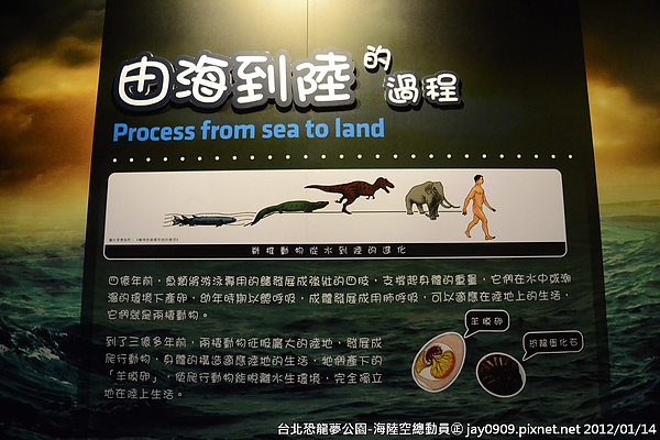 恐龙梦公园-海陆空总动员 亲子一起寻找失落的世界 the lost world