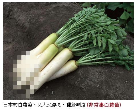 少女偷百根白蘿蔔讓車壓爛，只因「爆裂聲很好笑」