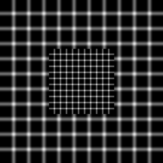 My Image 47
