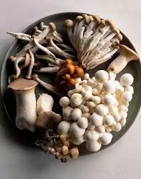 蘑菇是健康和有營養的，你知道一個嬰兒能吃多少東西嗎.jpg
