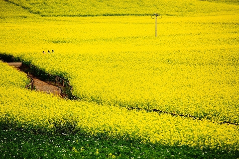 丽江
