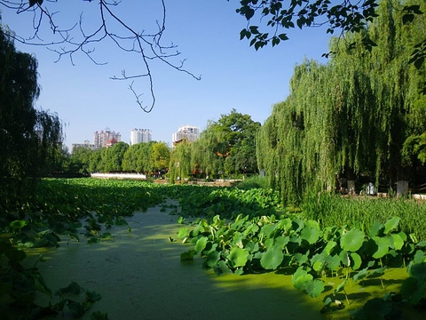 昆明