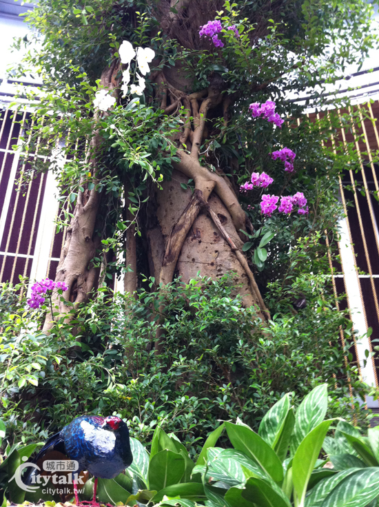即使是老树躯干上也可能再长出新芽,未来馆所展出的长生树原先是彰化