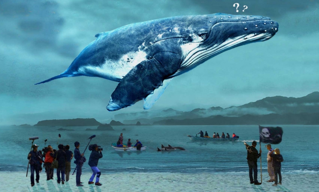 05_《鯨世爭議》繼奧斯卡最佳紀錄片血色海灣後再次探究日本捕鯨文化.jpg.jpg