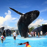 國立海洋生物博物館(海生館)-海生館優惠,交通,門票,住宿,營業時間等 ...