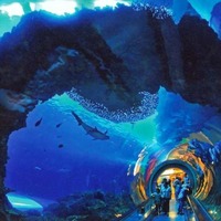 國立海洋生物博物館-主題墾丁-墾丁國家公園管理處