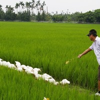 公民寫手】運用行銷管理專業知識許哲榮成功經營鴻旗有機休閒農場- 上 ...