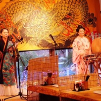 琉球ダイニング地酒横丁】予約・アクセス・営業時間情報 - じゃらんnet