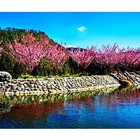 武陵農場- 维基百科,自由的百科全书