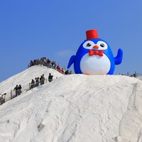 台南景點】七股鹽山:2018年超巨大紳士企鵝來襲,陪大家過新年唷- Mimi ...