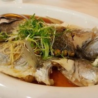 Sen He Yuan - 30 Photos - Cantonese - 忠孝東路四段45號11樓, 台北 ...