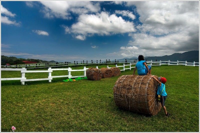 年輕人就是要環島！5天熱血玩一遭