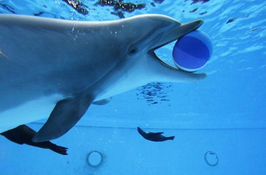 擁抱花蓮～海洋鯨奇2日