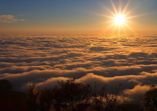 漫遊嘉義。阿里山星夜．日出．雲海