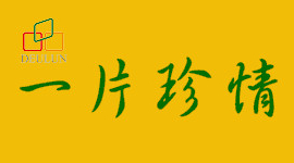 得倫食品~一片珍情海苔