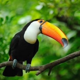 綠世界生態農場