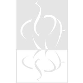 龍應台文化基金會