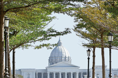 【奇美博物館 - 常設展】藝術廳、羅丹廳、動物廳、樂器廳、兵器廳五大展區