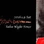 【樂騷莎】Bling Bling Salsa Night Fever-封面