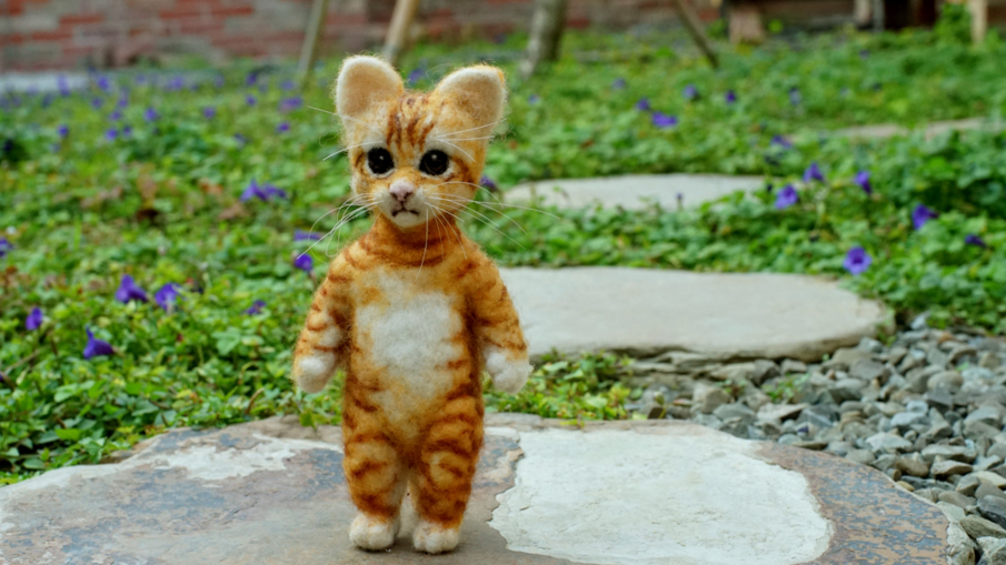 【小南園子】貓市集、貓小隊座談-封面 【小南園子】貓市集、貓小隊座談-封面