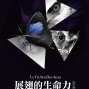 臺博館土銀展示館「展翅的生命力：迷霧森林裡的活寶石」影展-封面