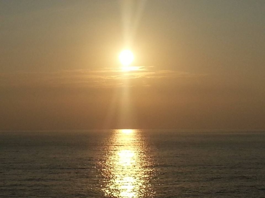 每一天都有曙光–自然形成空間工作室-封面 每一天都有曙光–自然形成空間工作室-封面