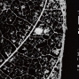 【梅迪奇藝術文化中心】「蔽」——攝影聯展-封面