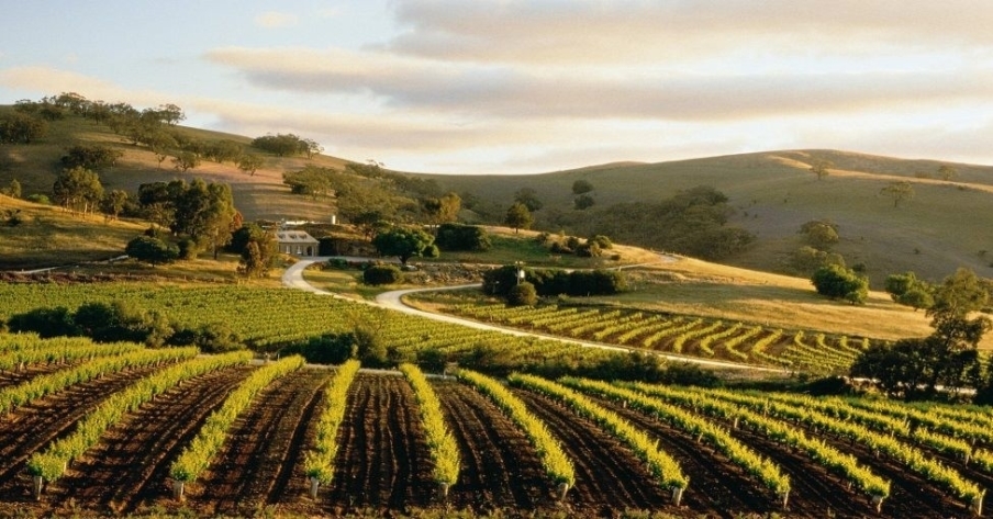 南澳五星級精品葡萄酒酒莊品飲會-封面