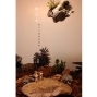 郭乃文2016植栽裝置展：微山水【版條線花園】-封面
