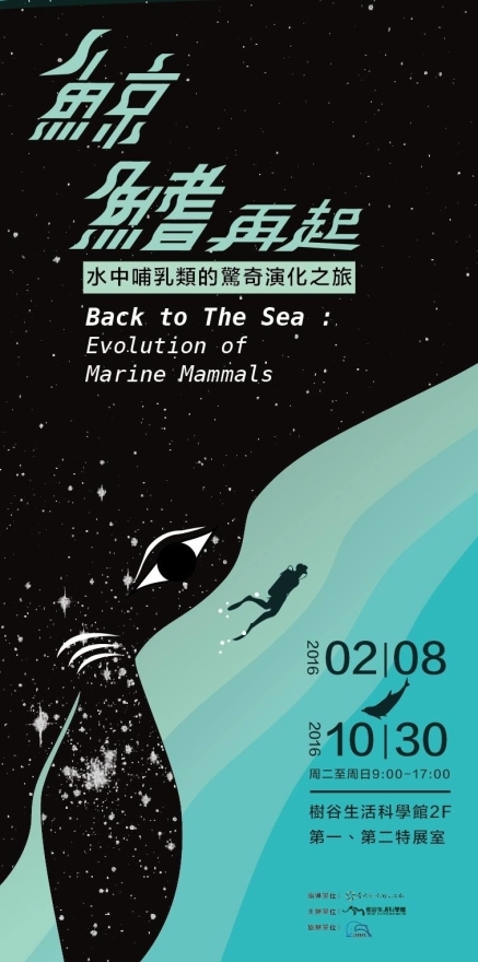 【樹谷生活科學館】鯨鰭再起：水中哺乳類的驚奇演化之旅-封面