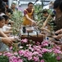 【台北花卉村】舊盆換新花-封面