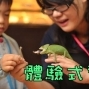 【台灣昆蟲館】體驗式導覽開跑！-封面