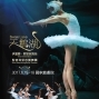 天鵝湖：伊蓮娜‧歌勒妮高娃與聖彼得堡芭蕾舞團 2017台北國家戲劇院-封面