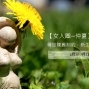 釋放陳舊制約，新生女人力量【仲夏女人圈工作坊】-封面