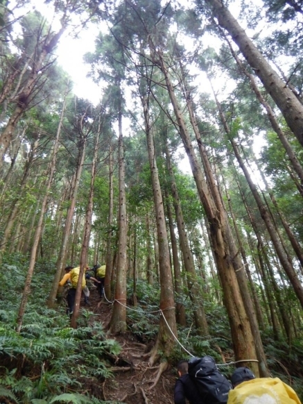 【登山】高島田出屯野生台山-封面