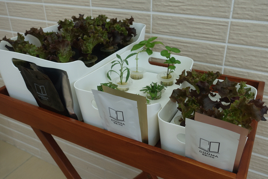 2018 居家有機水耕栽培盒DIY和鮮蔬沙拉製作體驗活動-封面