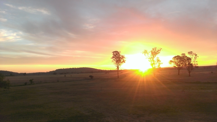 歲末消災祈福中峰三時繫念法事 (台灣場)【2018年11月份】-封面 歲末消災祈福中峰三時繫念法事 (台灣場)【2018年11月份】-封面