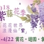 2018紫藤花季－花花世界・浪漫仙「紫」【台北花卉村】-封面