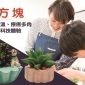 ❤戀愛大學❤ 2022【手作植物盆栽，愛在指尖萌芽】02/27（日）