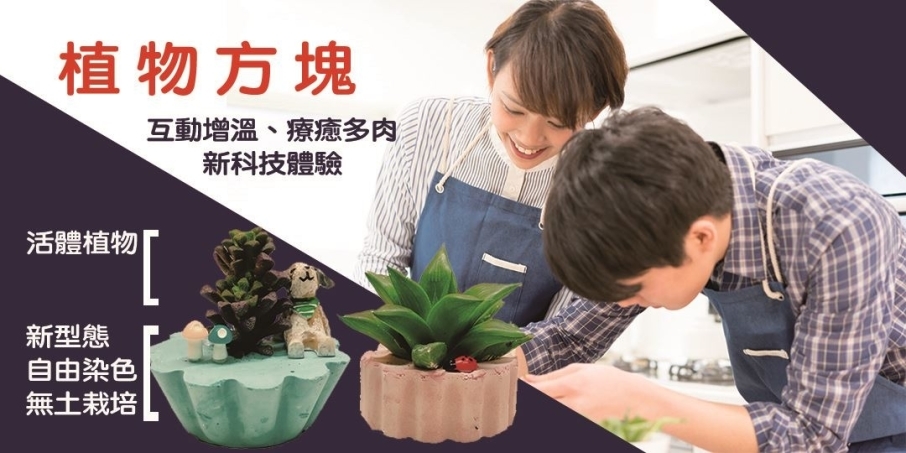 ❤戀愛大學❤ 2022【手作植物盆栽，愛在指尖萌芽】02/27（日）-封面