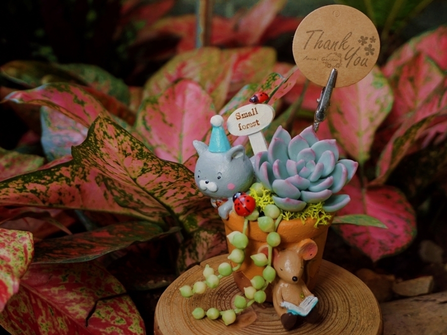 台北花卉村 5月綠手作課程 -「黏土多肉」小盆栽-封面