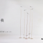 如捕風 Wind Catcher – 林定義 Lin Dingyi 首個展-封面