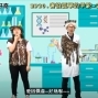 『每週一好奇』害怕孤單的羊駝--去南美洲玩-封面