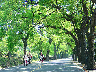【單車運動】跨年夜騎，看煙火，LDS-封面
