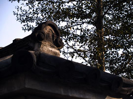 近看建築—林本良攝影展-封面 近看建築—林本良攝影展-封面