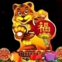 中台灣元宵燈會‧老虎愛台中-封面