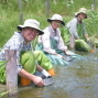 滙豐濕地保育工作坊-免費濕地生態保育假期-封面