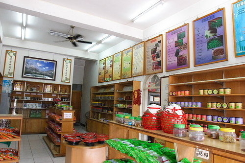 梅子博物館參觀展覽-封面 梅子博物館參觀展覽-封面